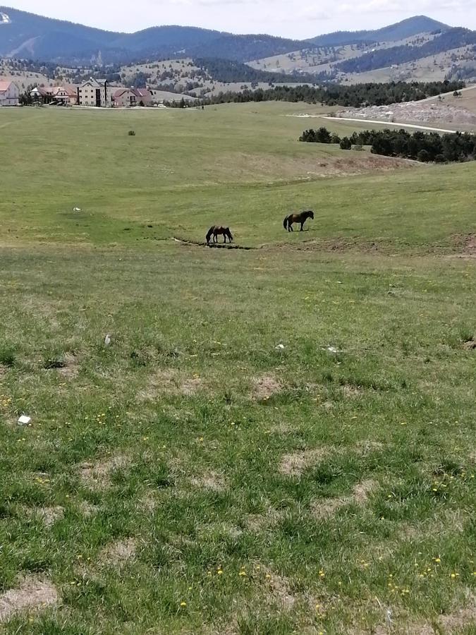Apartman Selakovic Zlatibor Exteriör bild